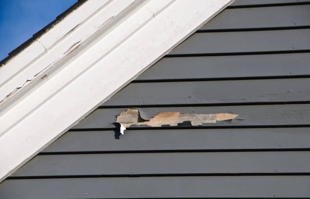 Affordable Siding Repair and Maintenance Services in Sarasota Springs, FL